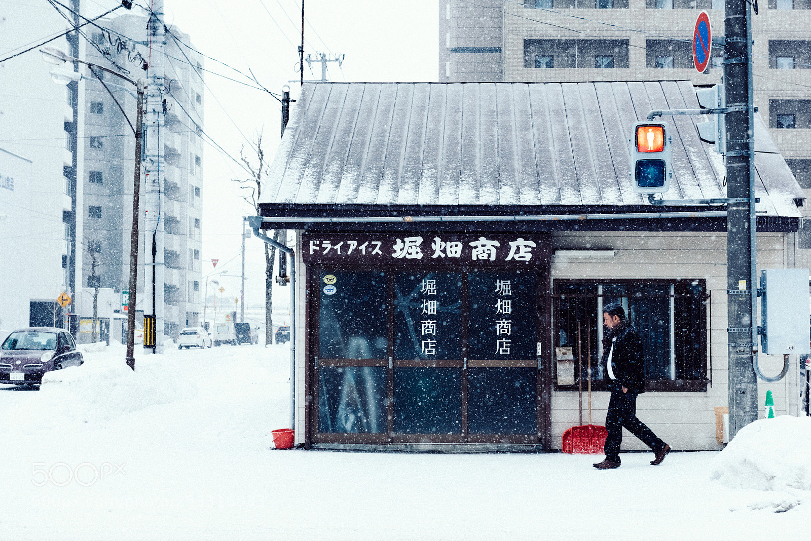 Nikon D810 sample photo. Walking in the snow photography