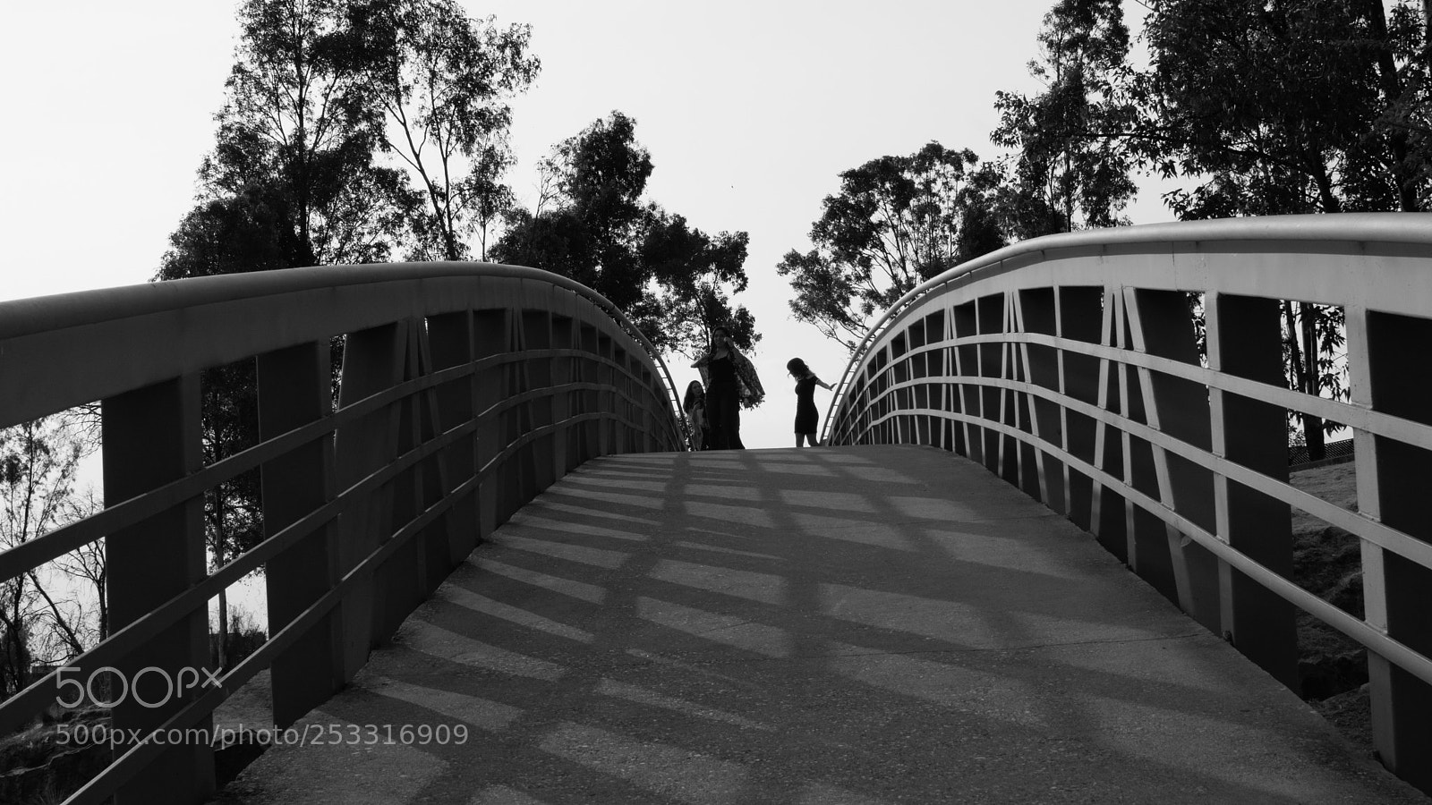 Nikon D5500 sample photo. Bridge photography