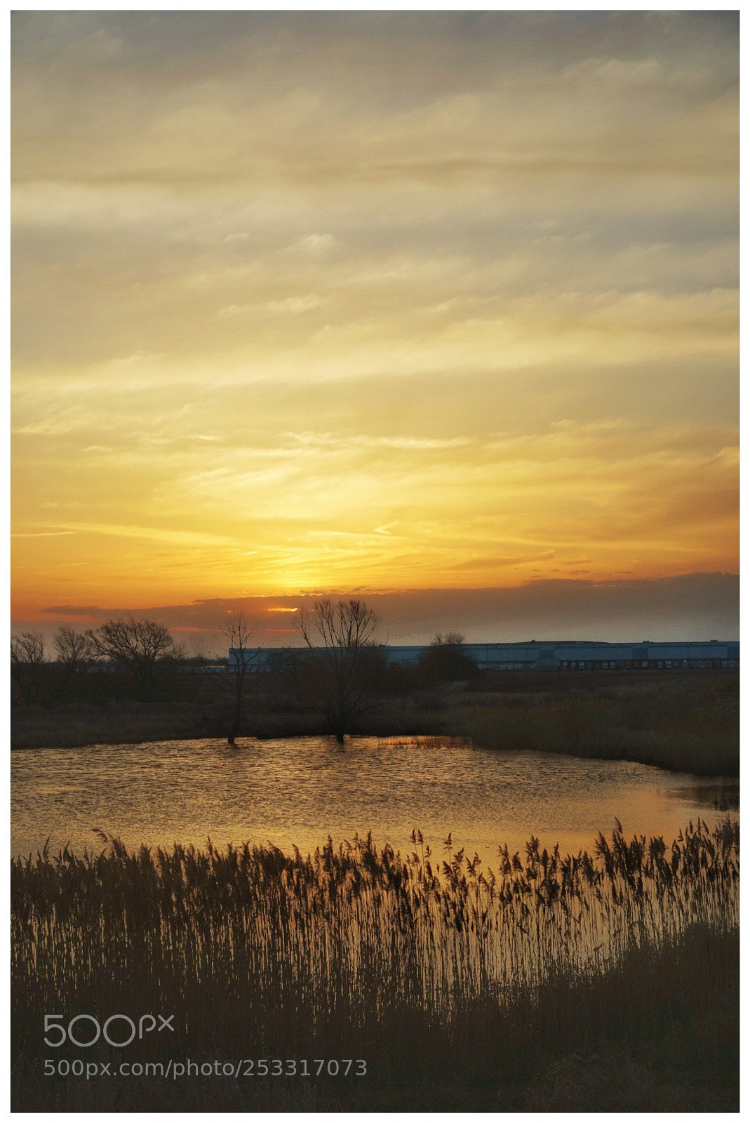 Sony a7 II sample photo. Untitled photography
