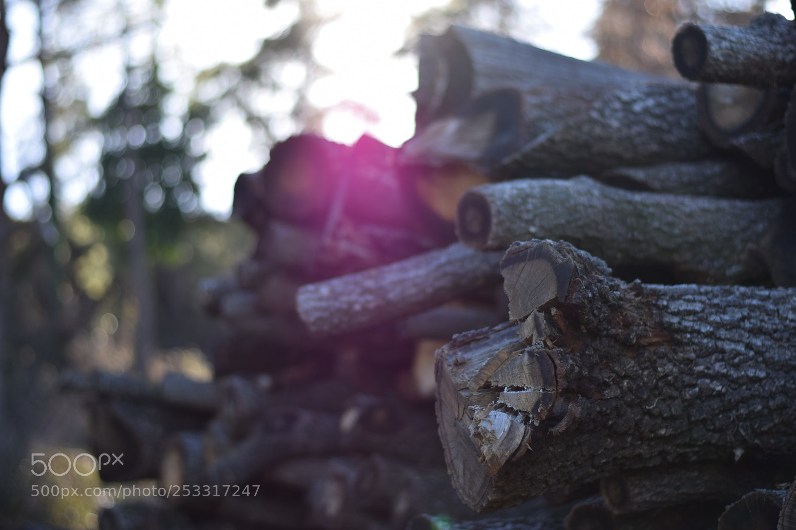 Nikon D5300 sample photo. Untitled photography