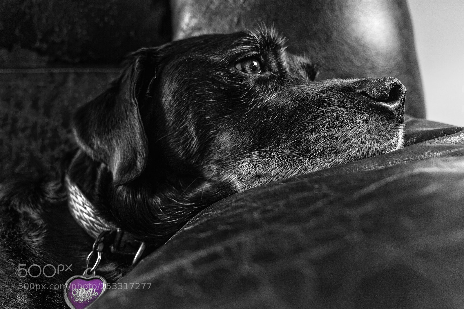 Sony a6000 sample photo. Contemplative opal, 2018.04.03 photography