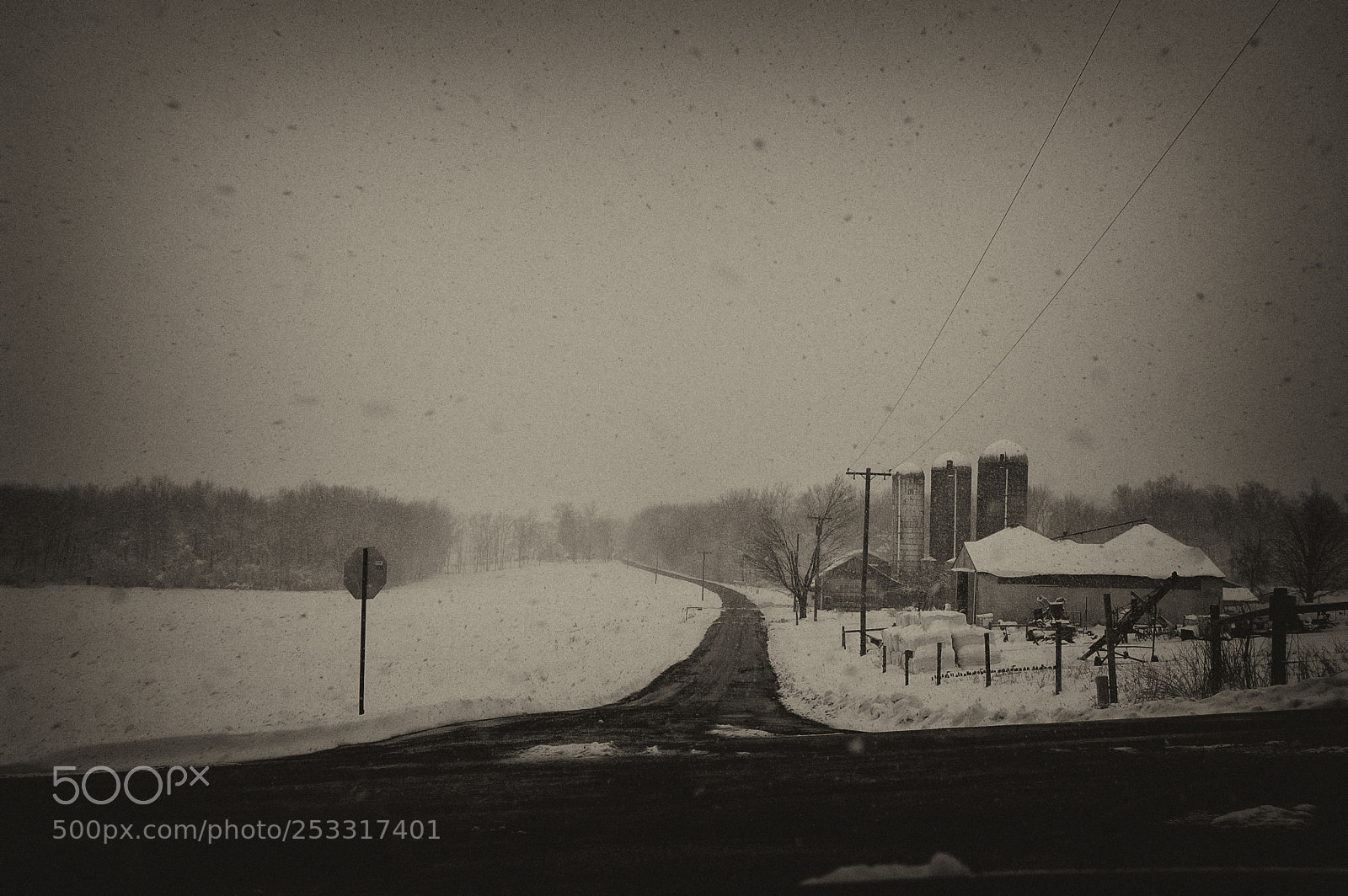 Nikon D40 sample photo. Winter drags on photography