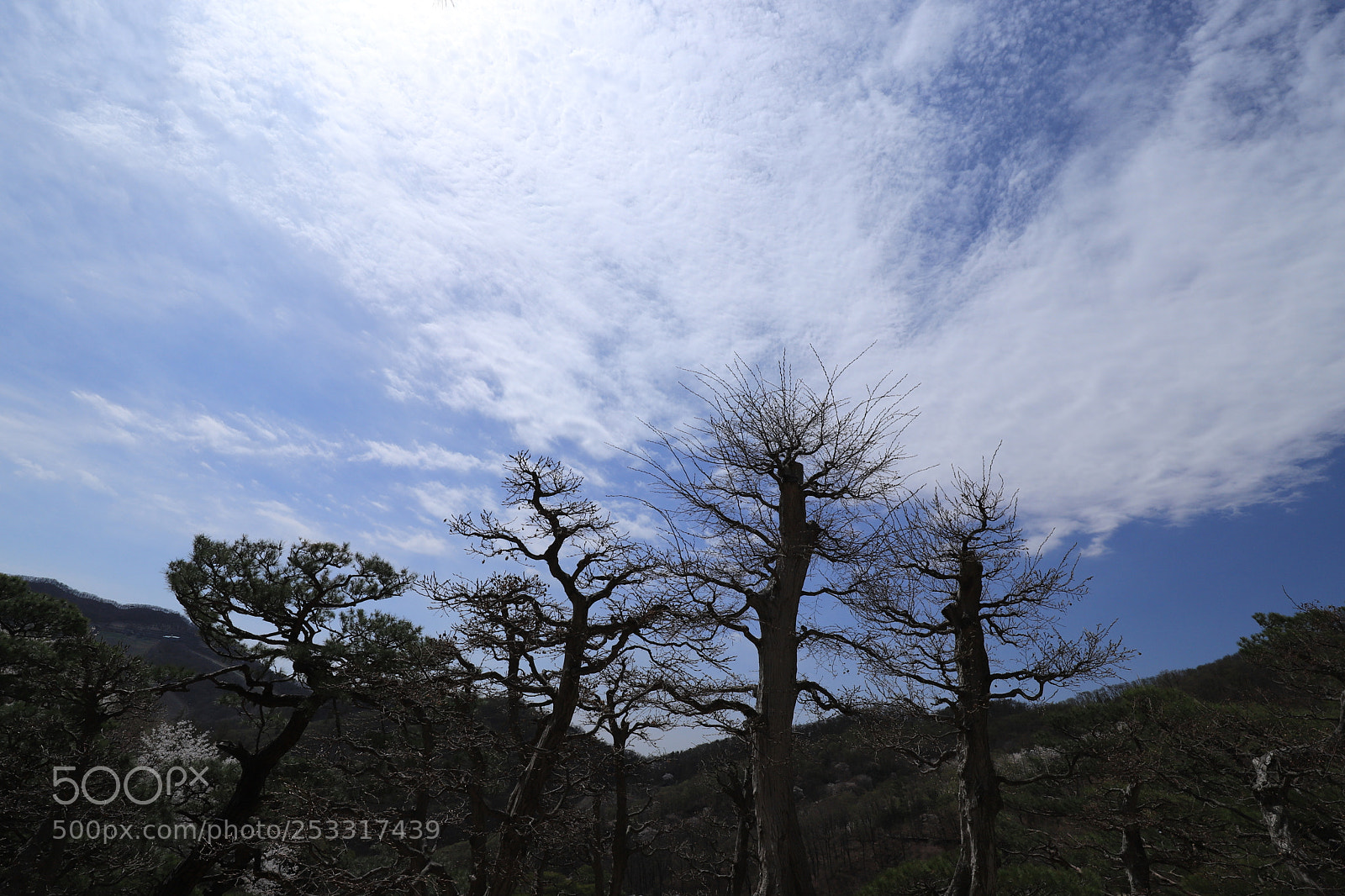 Canon EOS 6D Mark II sample photo. To full photography