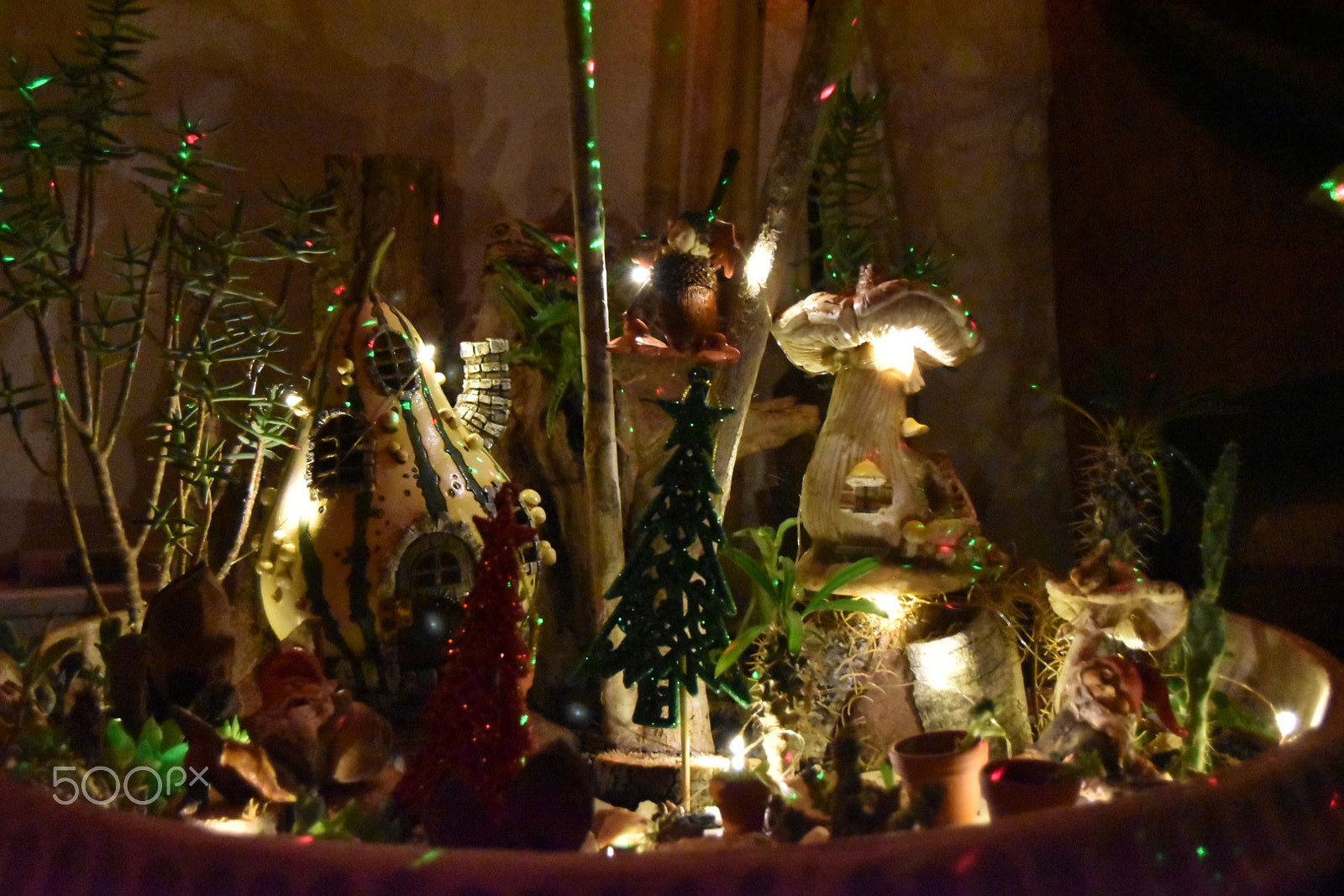 Nikon D5500 sample photo. Fairy wonderland photography