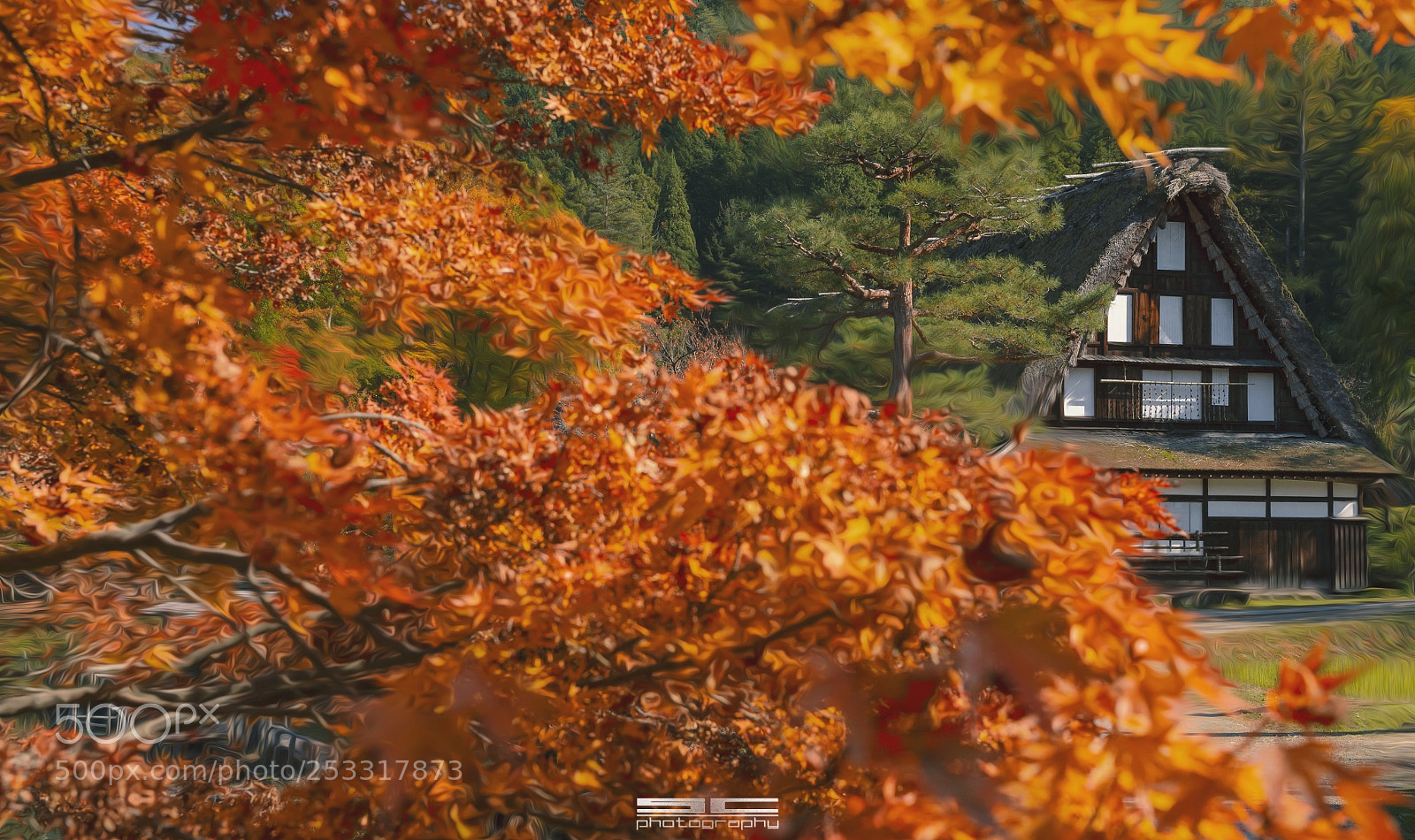Nikon D4 sample photo. Skt photography
