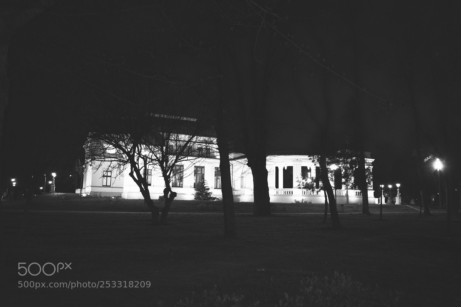 Nikon D3400 sample photo. Bw photography