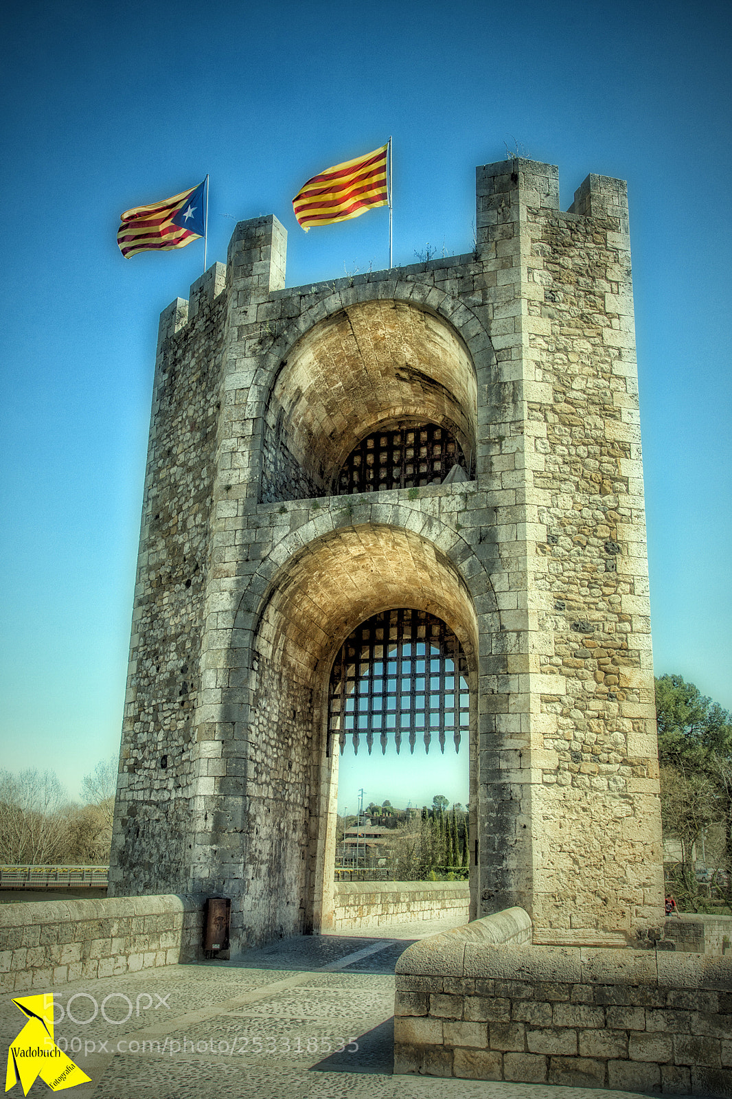 Canon EOS 6D Mark II sample photo. Besal , torre del photography