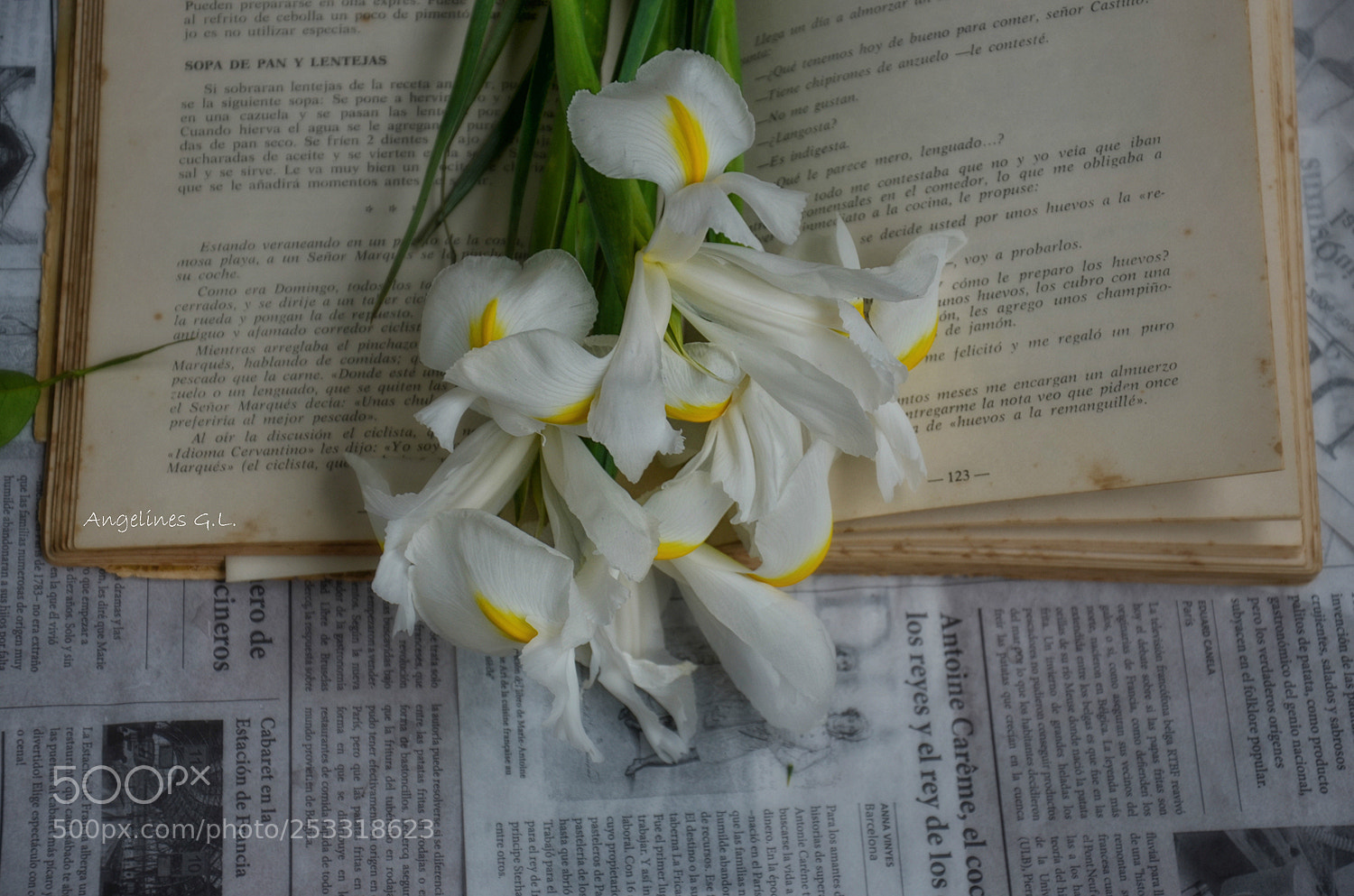 Nikon D5100 sample photo. Palabras y flores photography