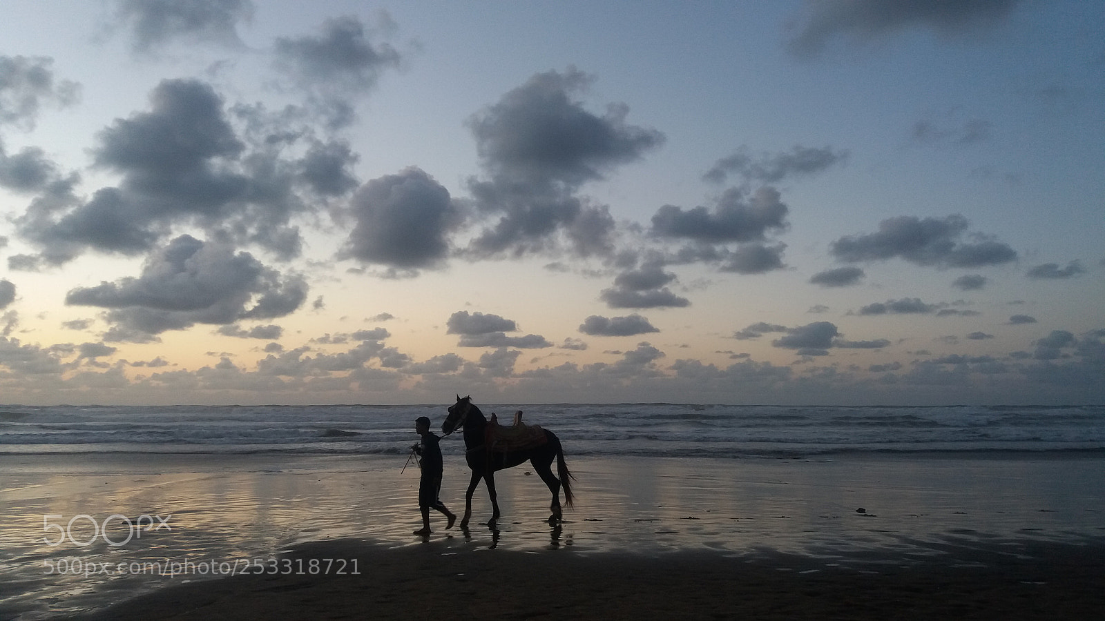 Samsung Galaxy J5 sample photo. _sunset_fog_horse_ photography