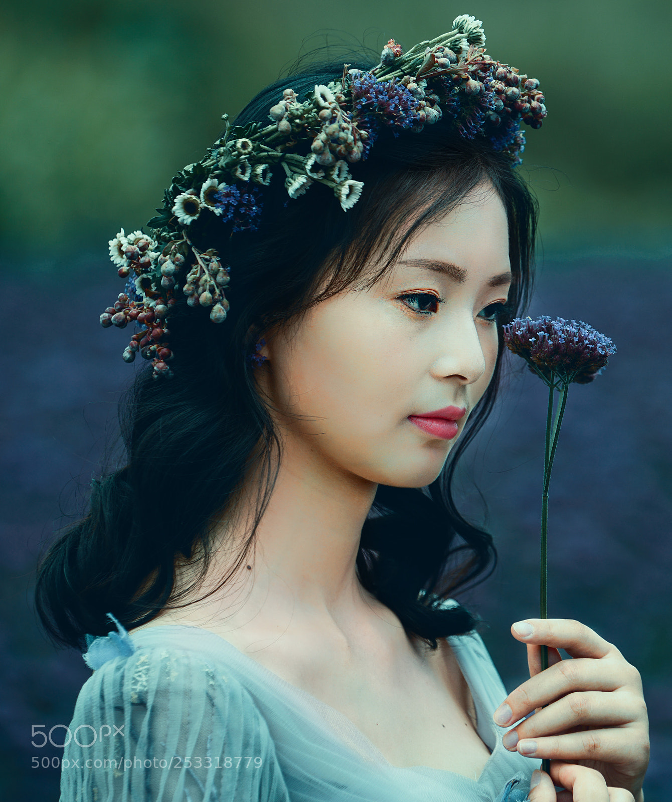 Sony a7R II sample photo. Dsc photography