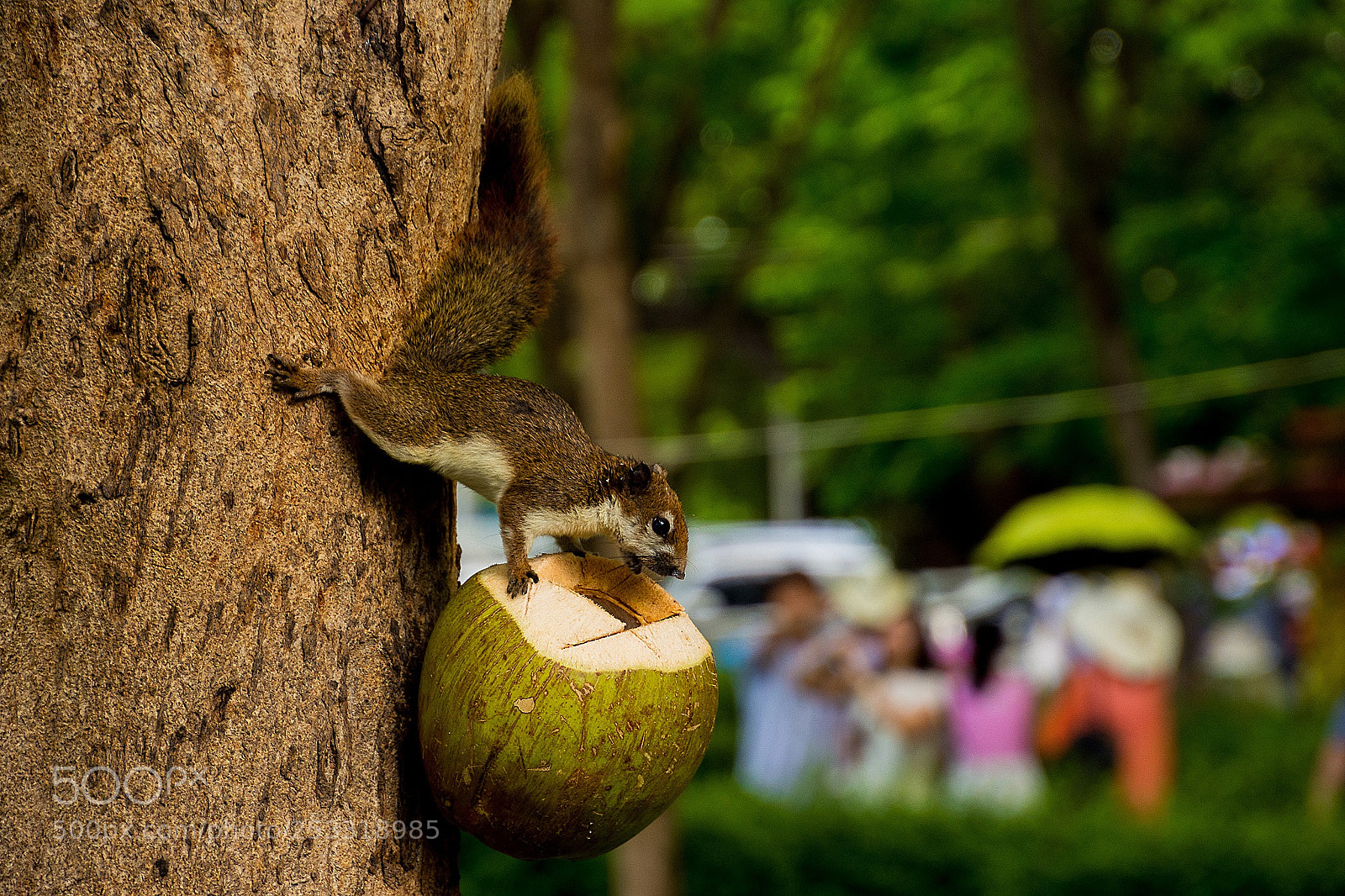 Canon EOS 77D (EOS 9000D / EOS 770D) sample photo. Untitled photography