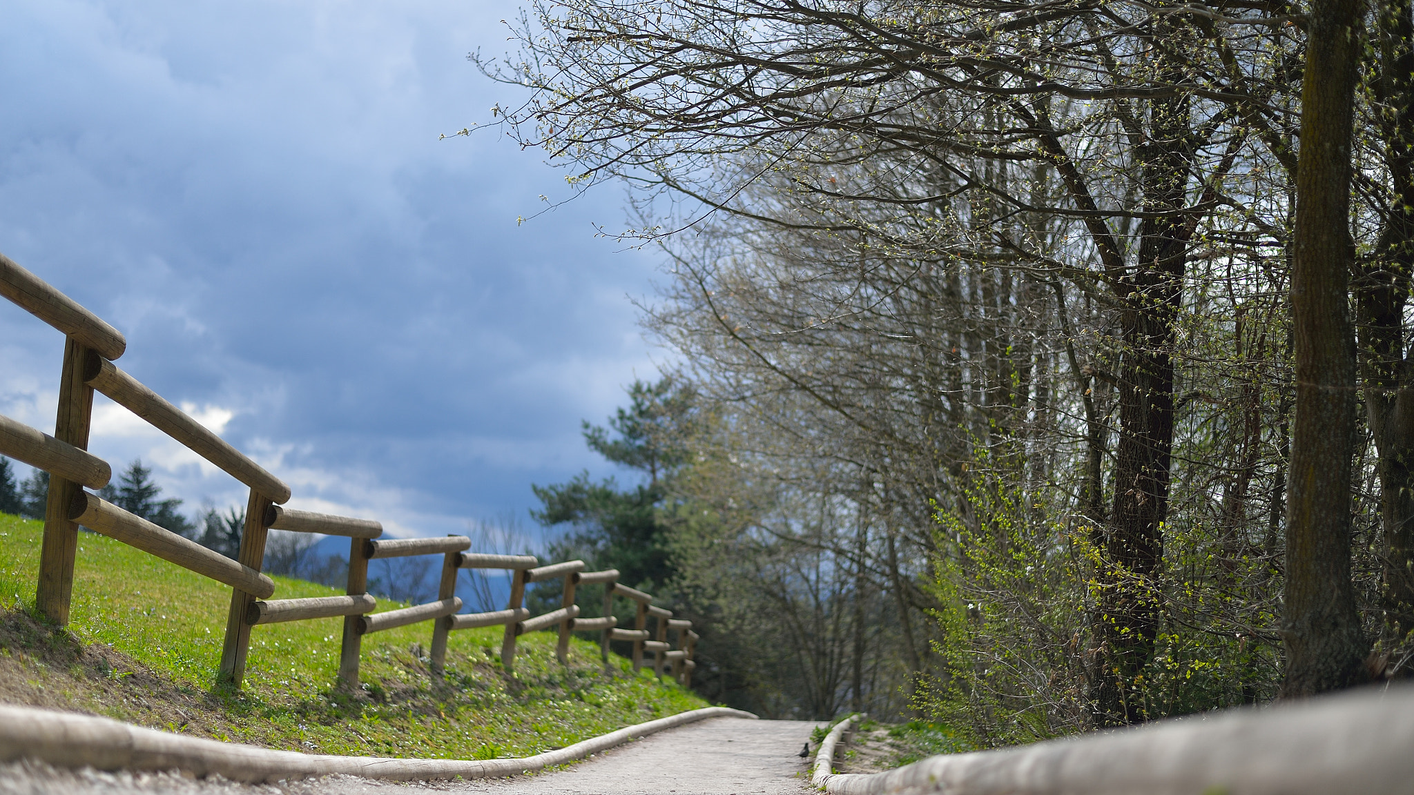 Nikon Df + Nikon AF-S Nikkor 50mm F1.8G sample photo. Into the spring photography