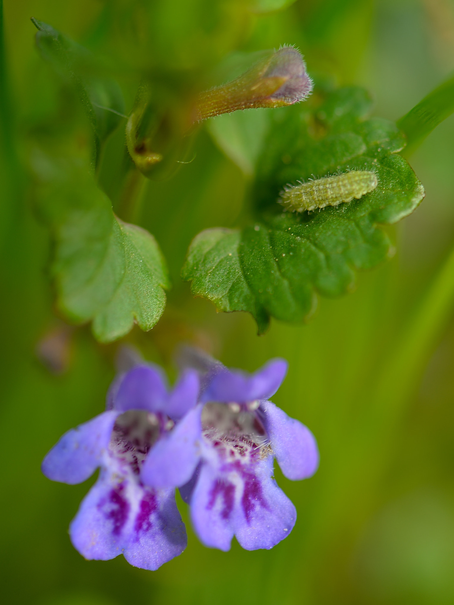 Nikon Df sample photo. Wellcome photography