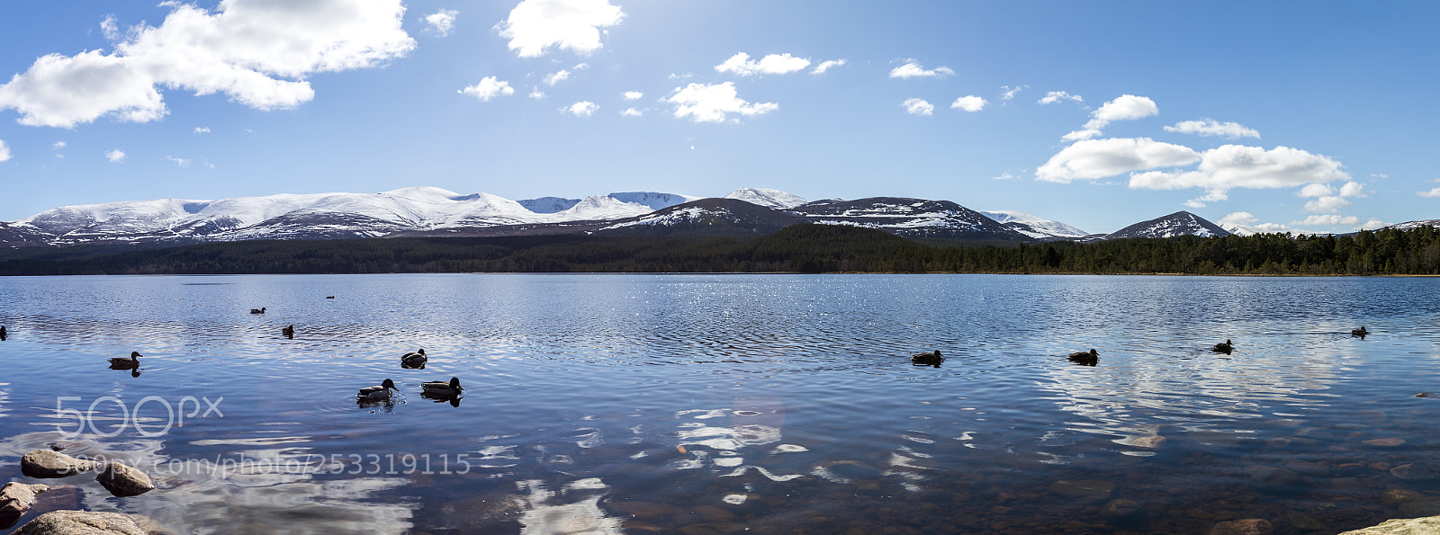 Canon EOS 80D sample photo. Loch morlich panorama photography