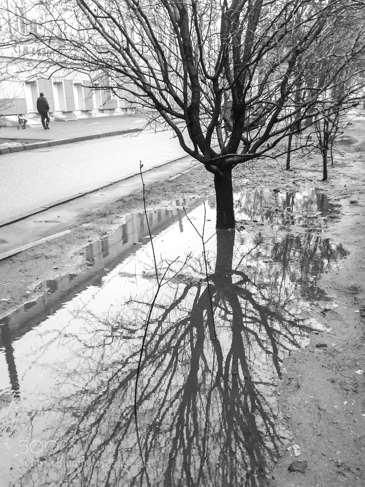 Apple iPhone 5 sample photo. Street photography