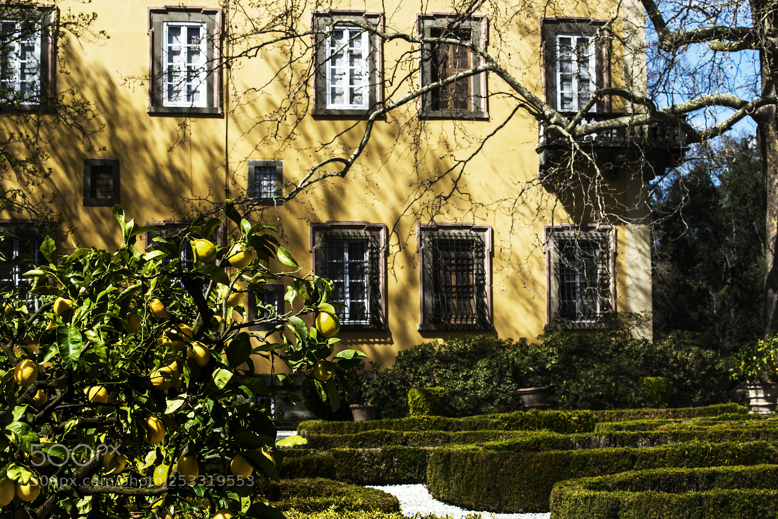 Nikon D800 sample photo. Lemon & lemon photography