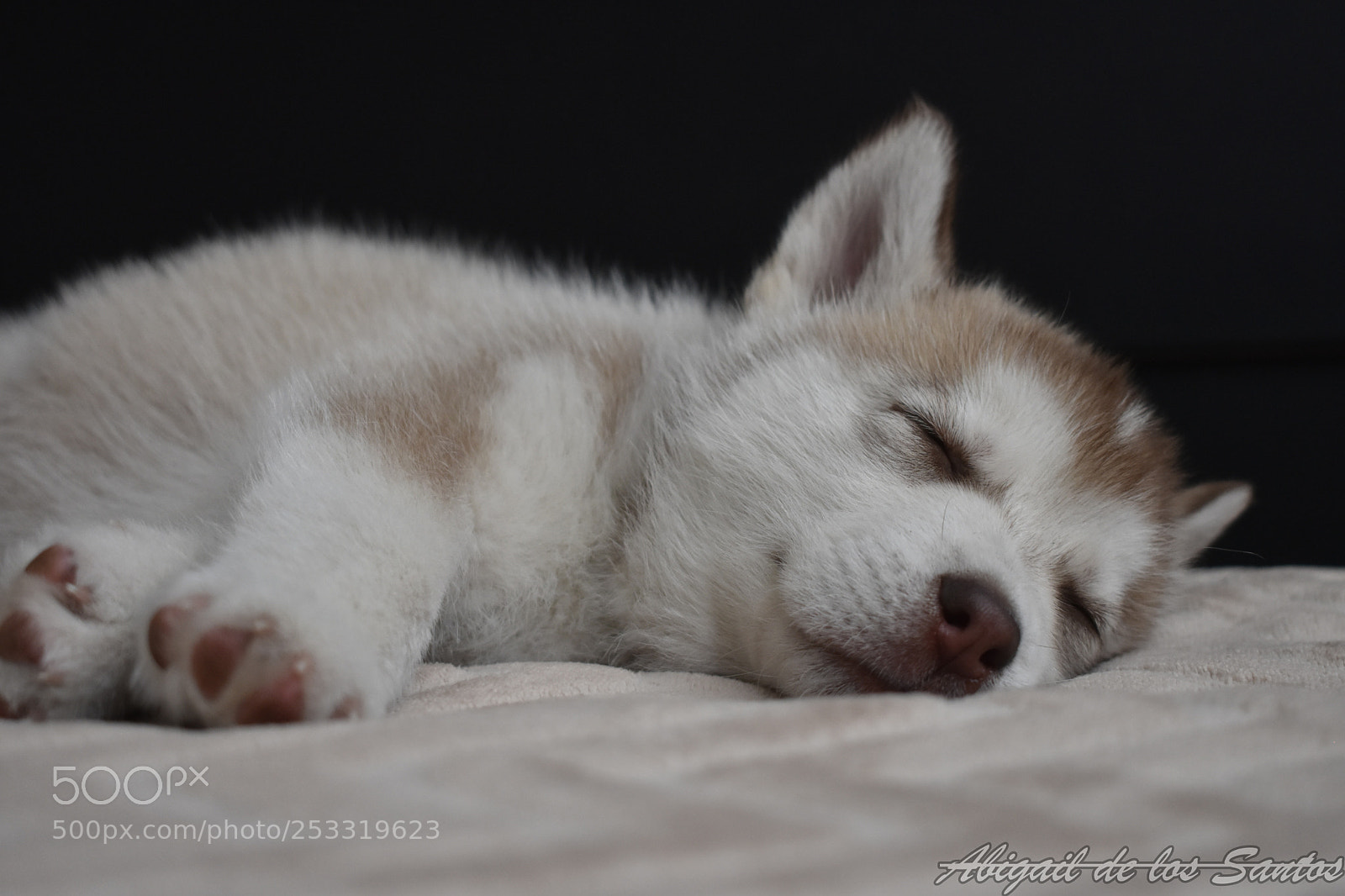 Nikon D3400 sample photo. Baby hunter photography