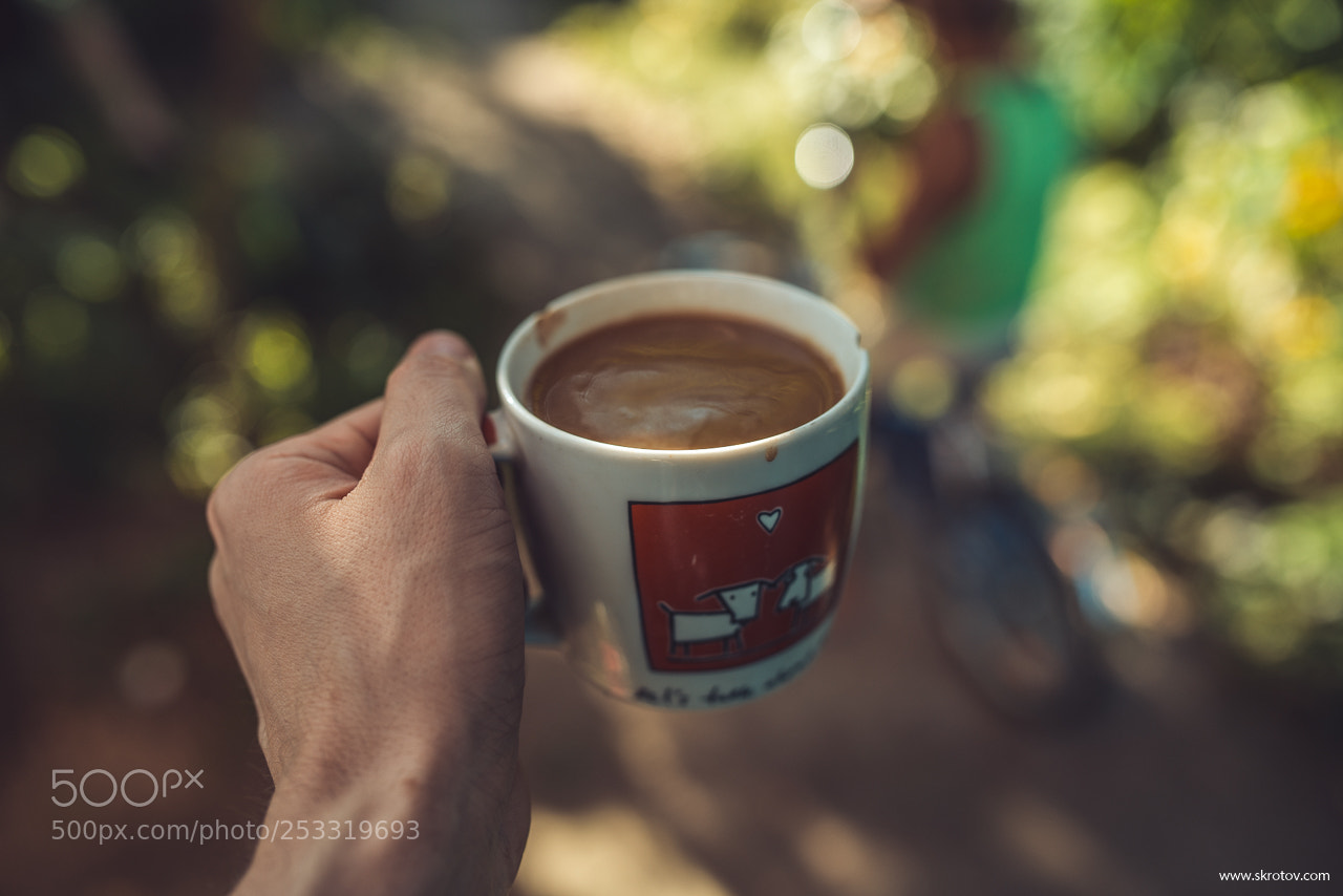 Nikon D800 sample photo. Just funny summer day 2015 photography
