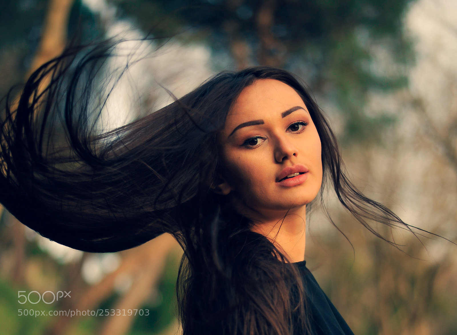 Nikon D700 sample photo. Hairs photography