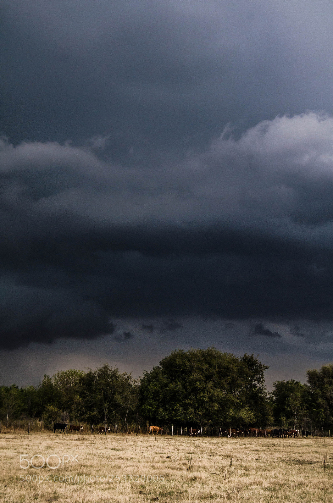 Nikon D5100 sample photo. Storm photography