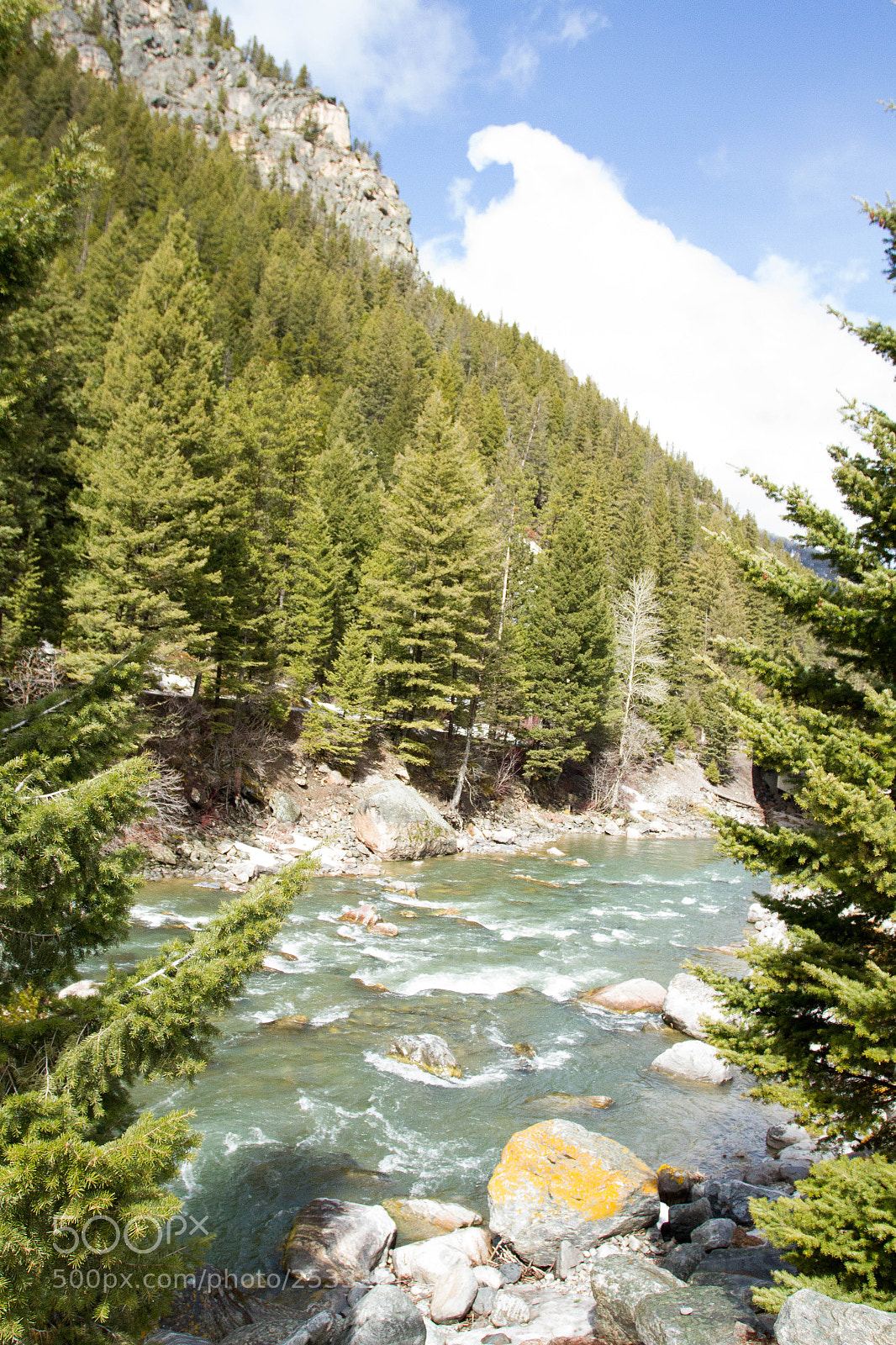 Canon EOS 7D sample photo. Yellowstone national park photography