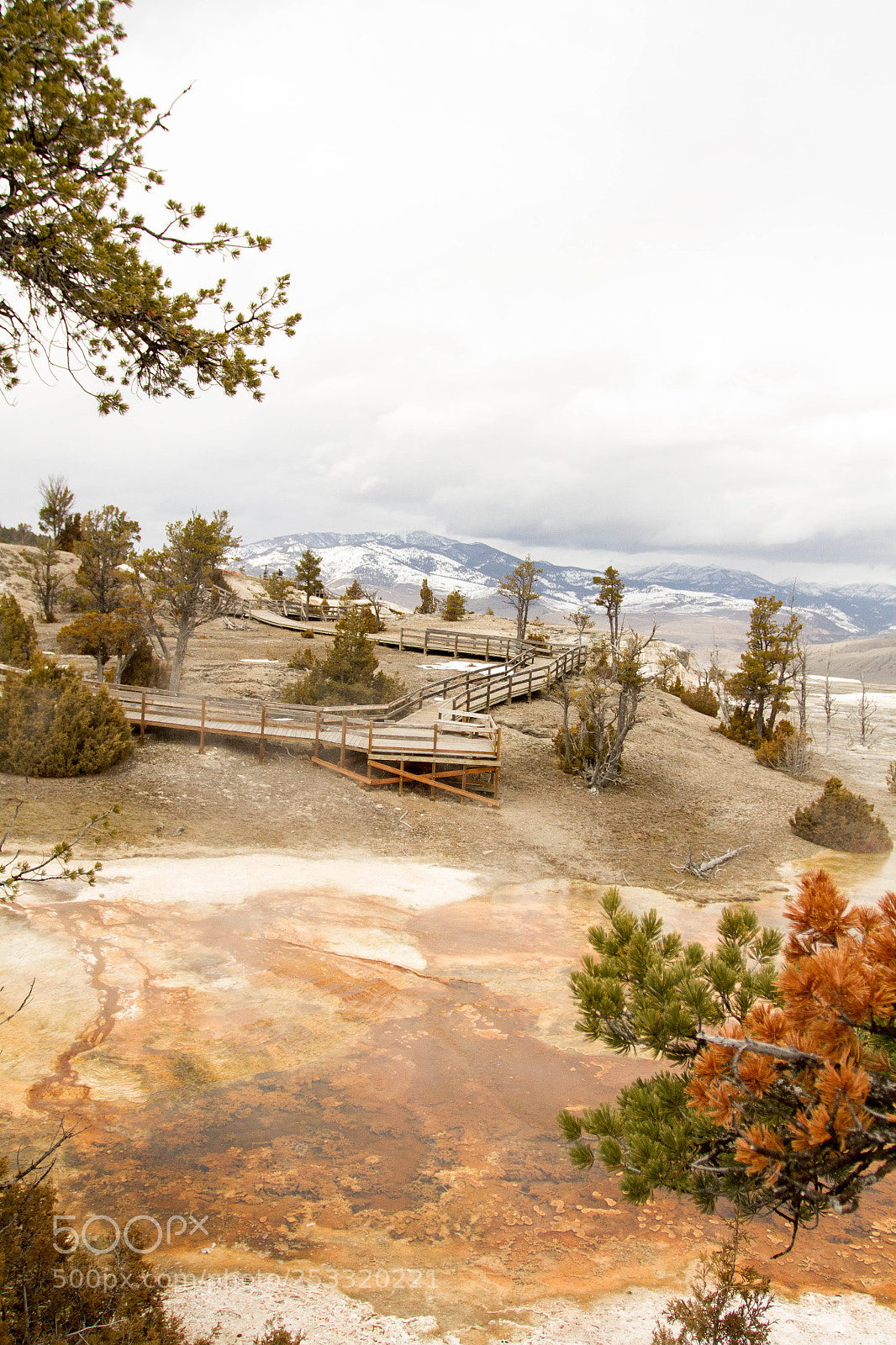 Canon EOS 7D sample photo. Yellowstone national park photography