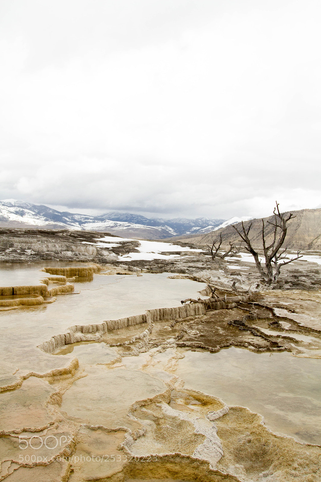 Canon EOS 7D sample photo. Yellowstone national park photography