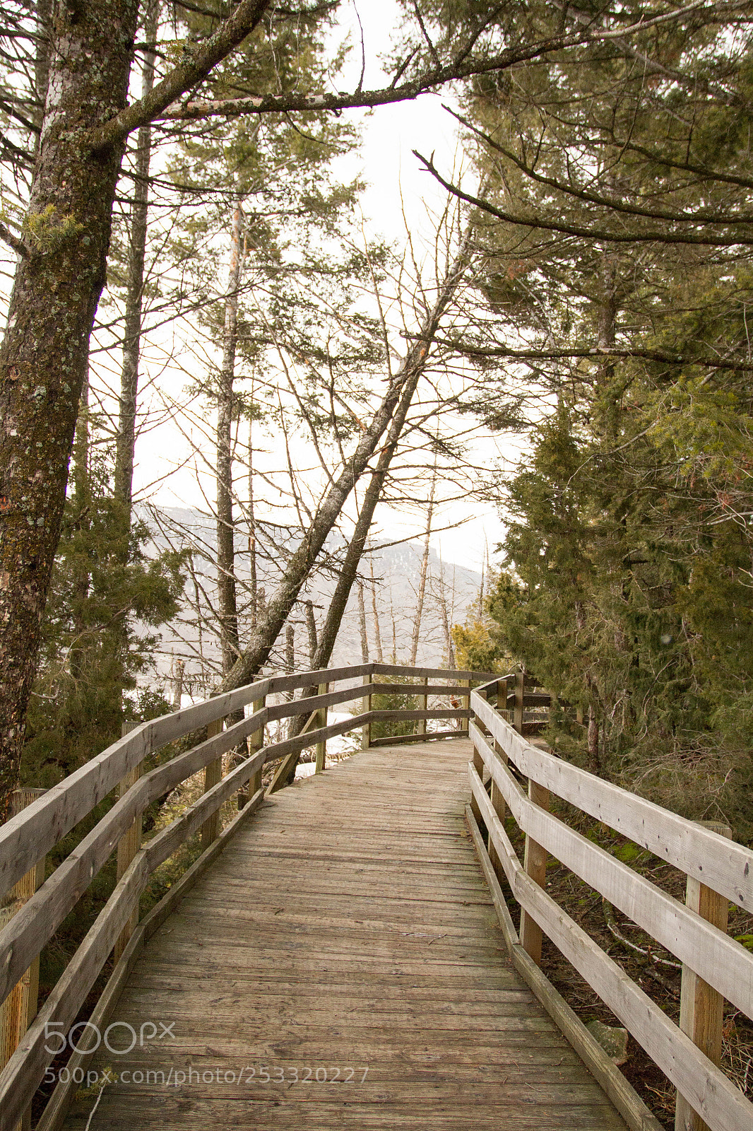 Canon EOS 7D sample photo. Yellowstone national park photography
