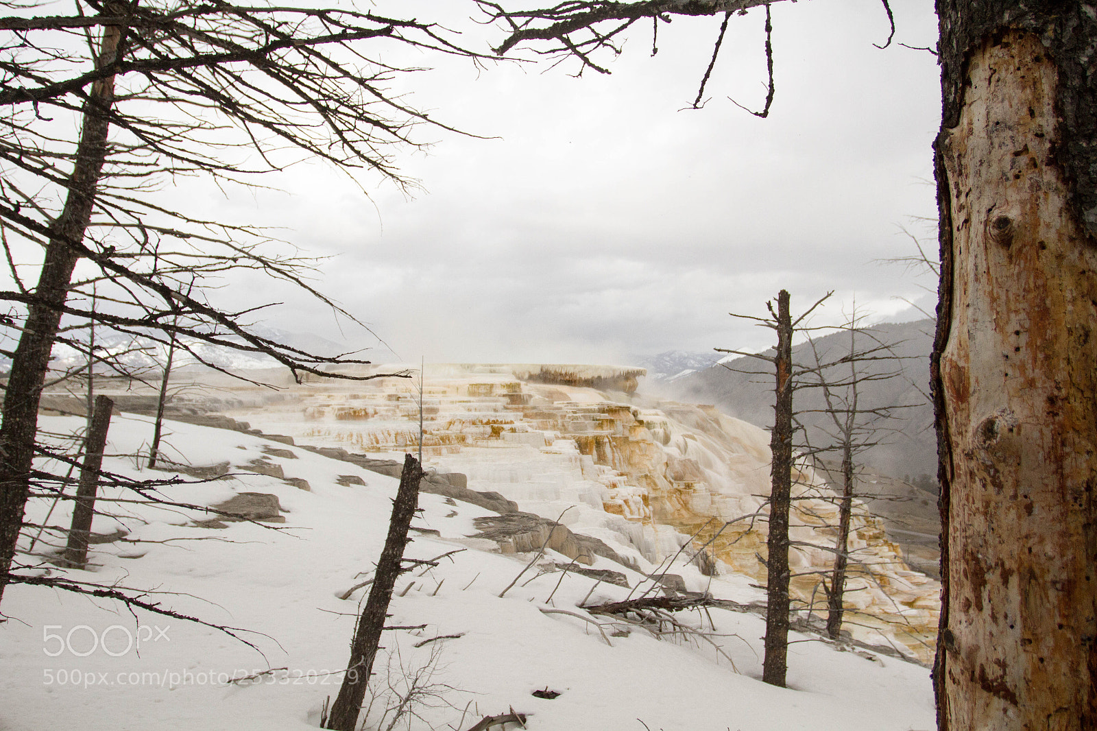 Canon EOS 7D sample photo. Yellowstone national park photography
