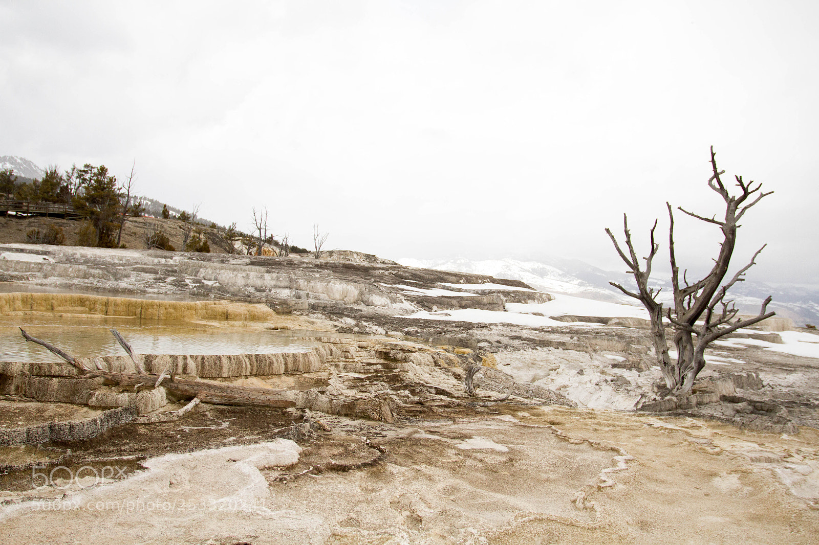 Canon EOS 7D sample photo. Yellowstone national park photography