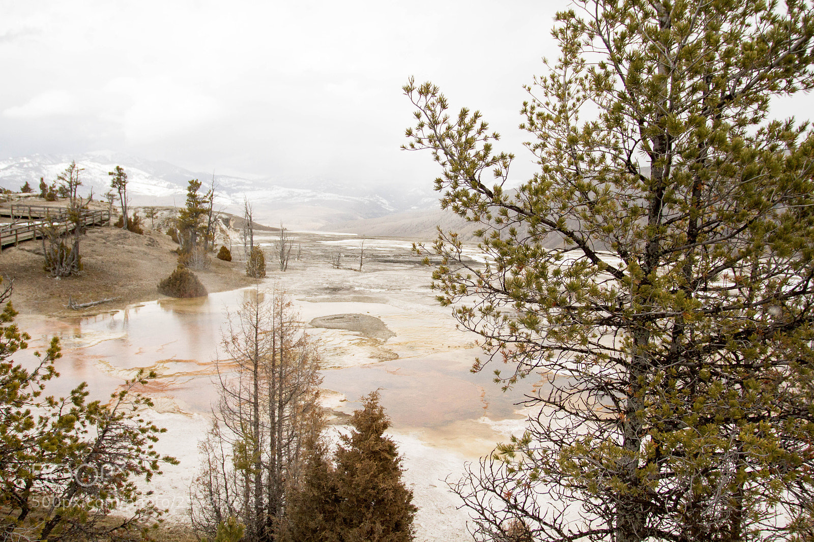 Canon EOS 7D sample photo. Yellowstone national park photography