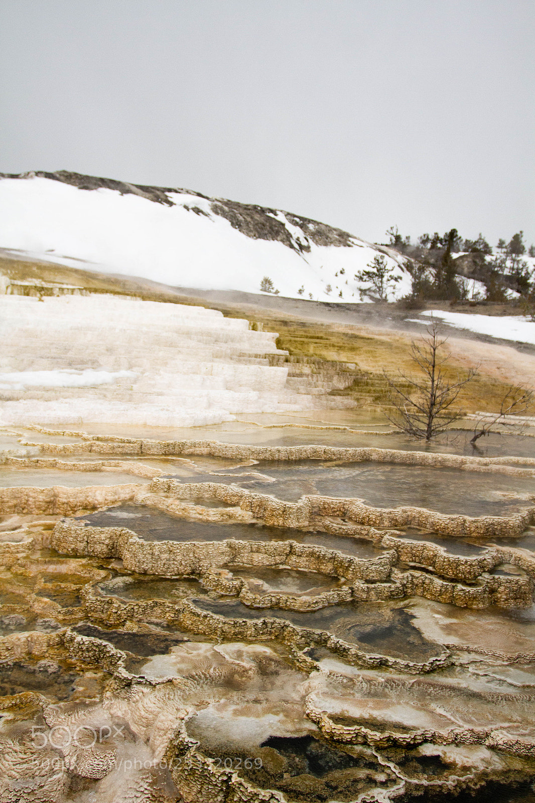 Canon EOS 7D sample photo. Yellowstone national park photography