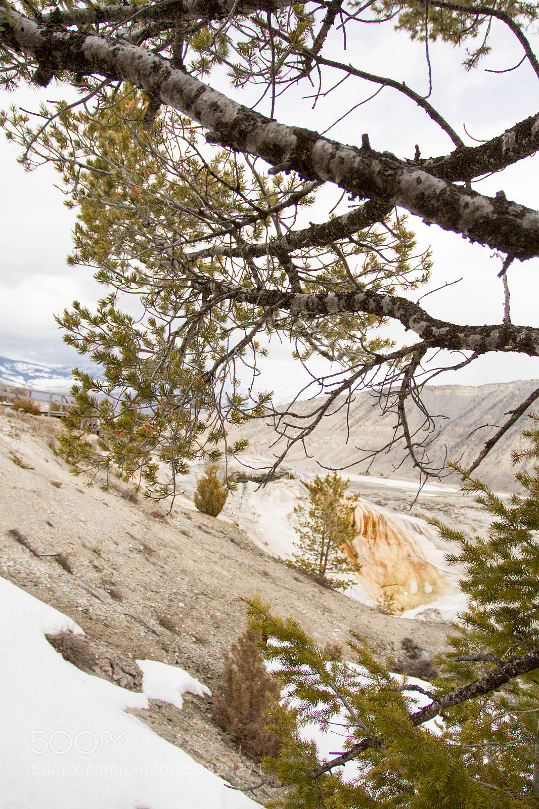 Canon EOS 7D sample photo. Yellowstone national park photography