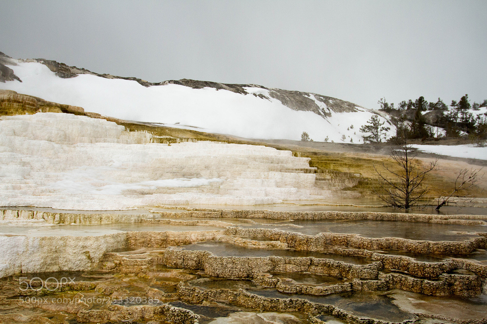 Canon EOS 7D sample photo. Yellowstone national park photography