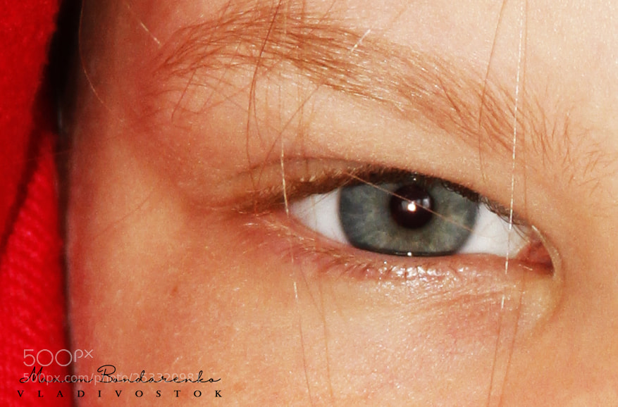 Canon EOS 7D sample photo. Sight photography