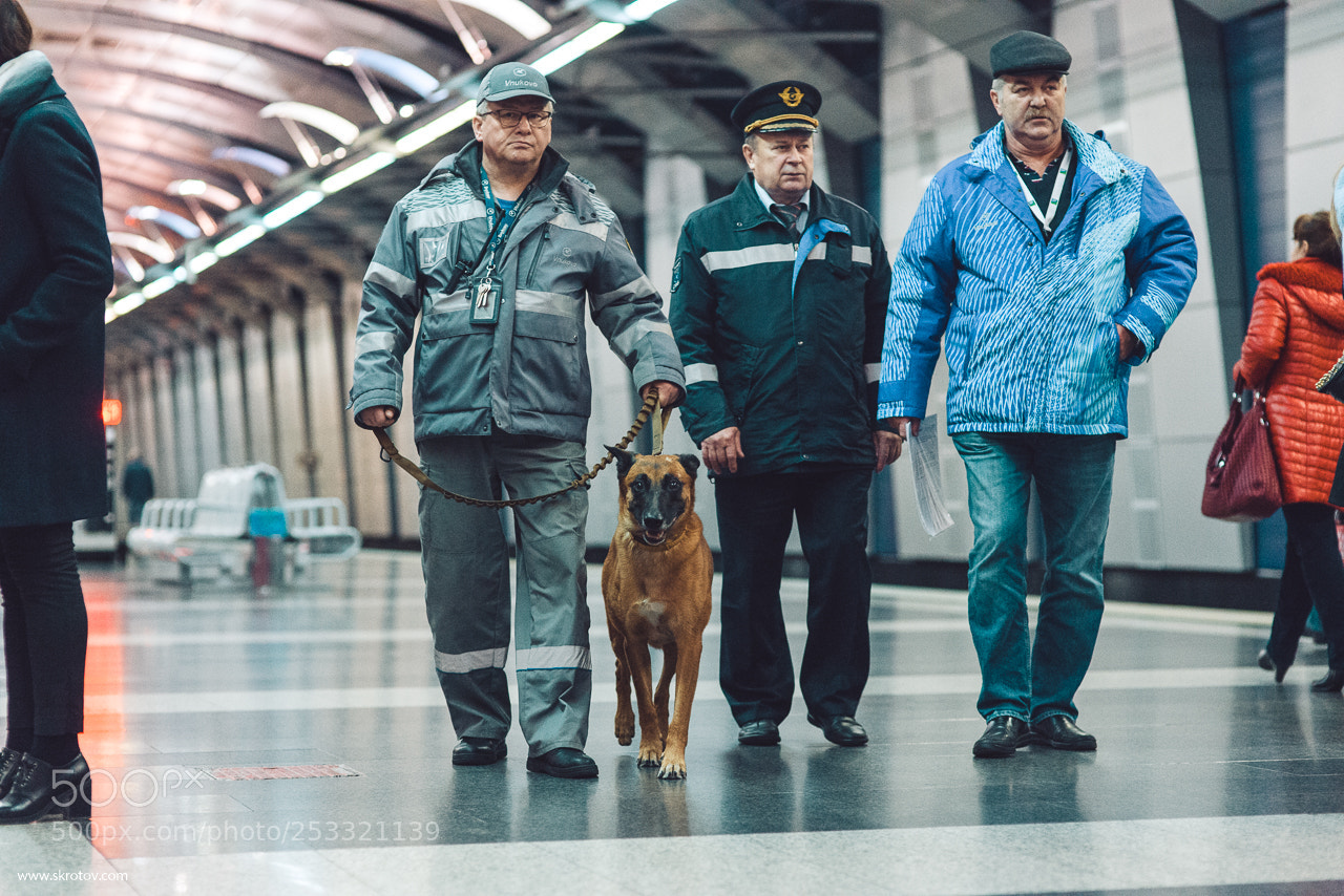 Nikon D800 sample photo. Staddler aeroexpress in moscow photography