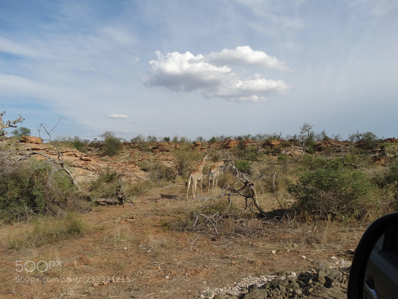 Sony Cyber-shot DSC-HX300 sample photo. Kruger park photography
