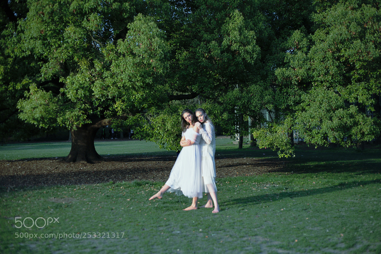 Canon EOS 5D Mark II sample photo. Cold photography