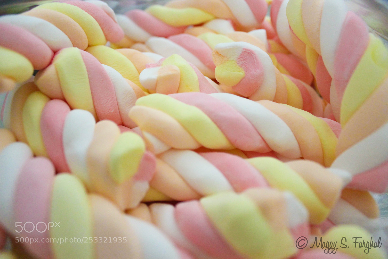 Canon EOS 600D (Rebel EOS T3i / EOS Kiss X5) sample photo. Marshmallow photography