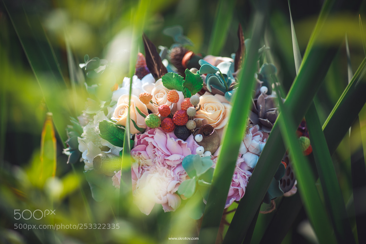 Nikon D800 sample photo. Untitled photography