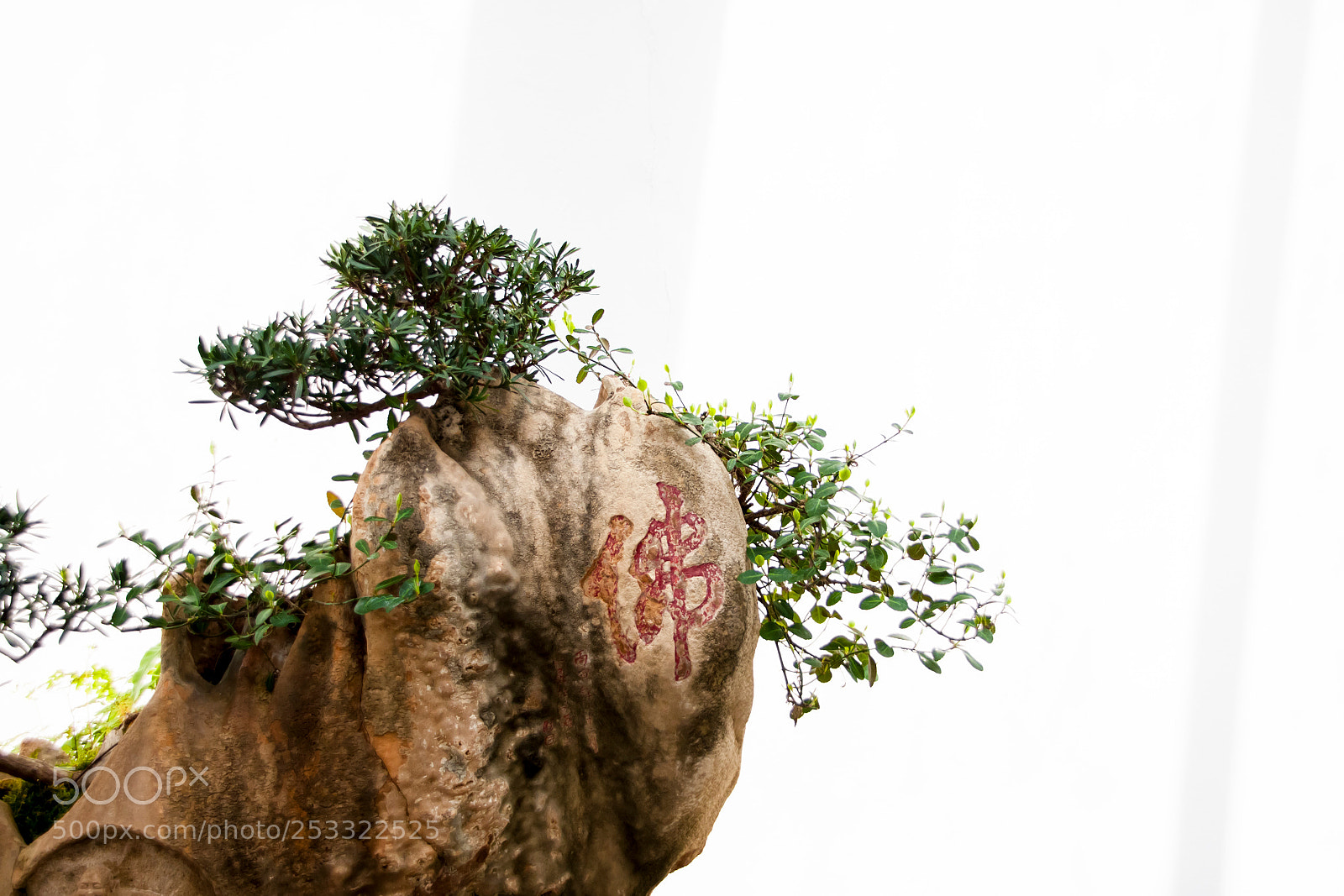 Canon EOS 50D sample photo. Miniascape photography