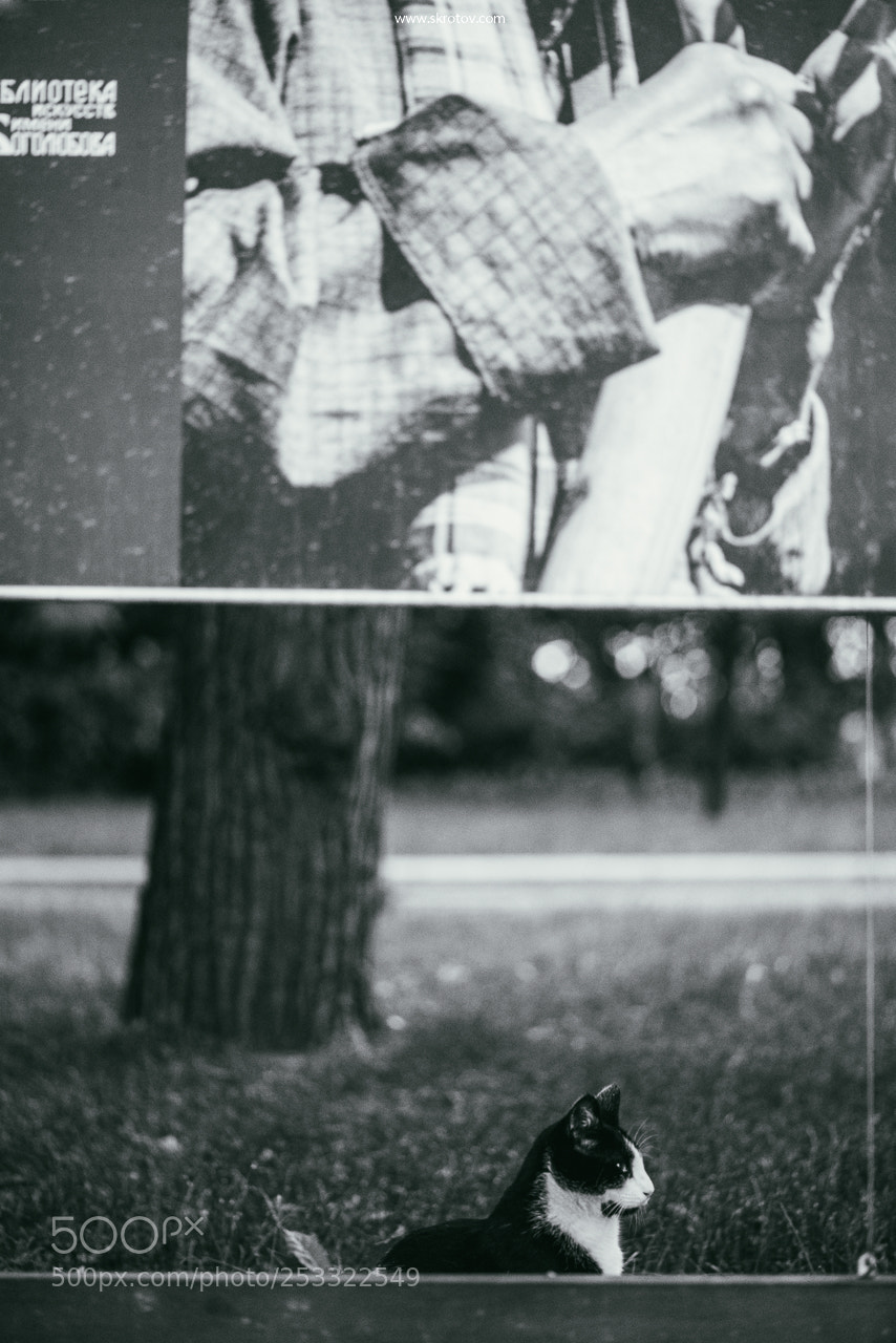 Nikon D800 sample photo. Two worlds photography