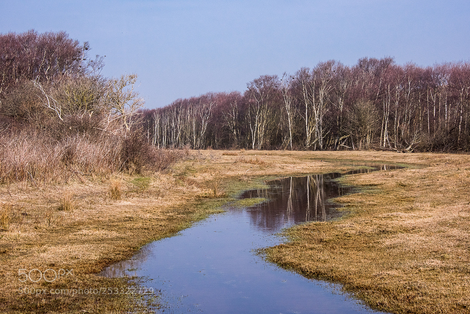 Nikon D810 sample photo. De muy, texel photography