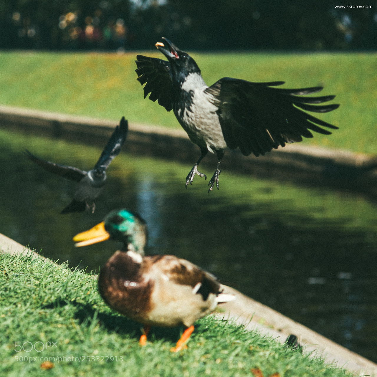 Nikon D800 sample photo. My st. petersburg photography