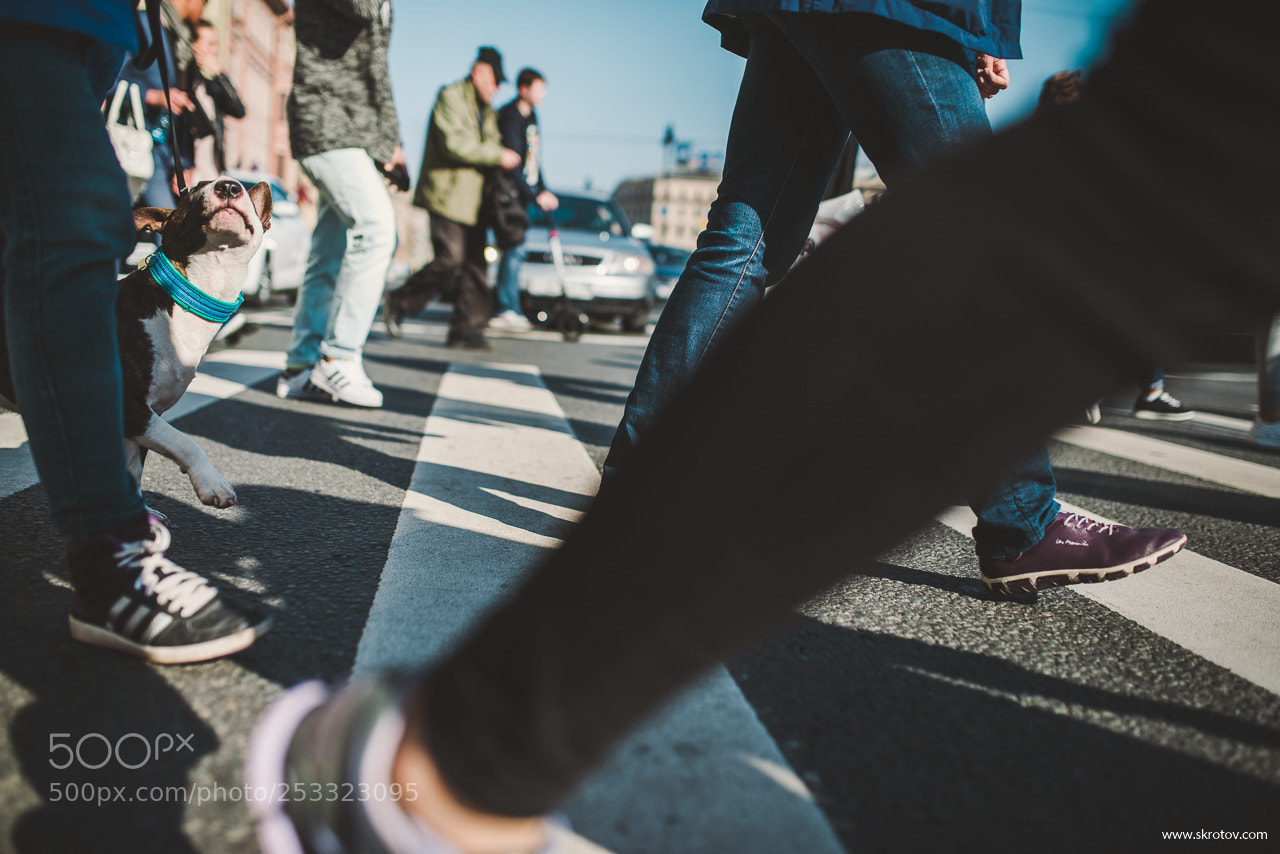 Nikon D800 sample photo. My st. petersburg photography