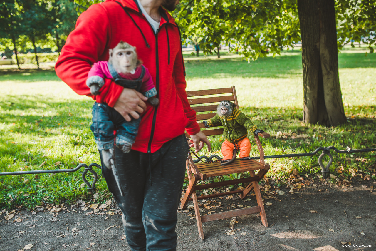 Nikon D800 sample photo. My st. petersburg photography