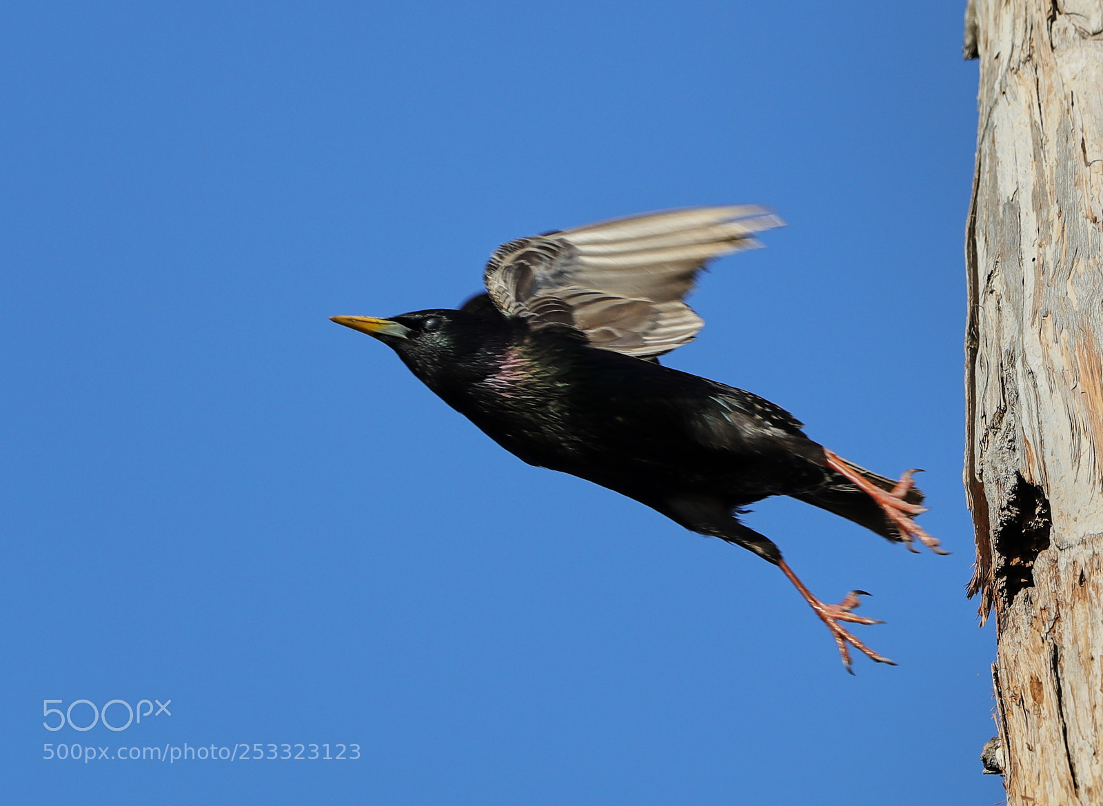 Canon EOS-1D X Mark II sample photo. 04-12-18-0011984.jpg photography