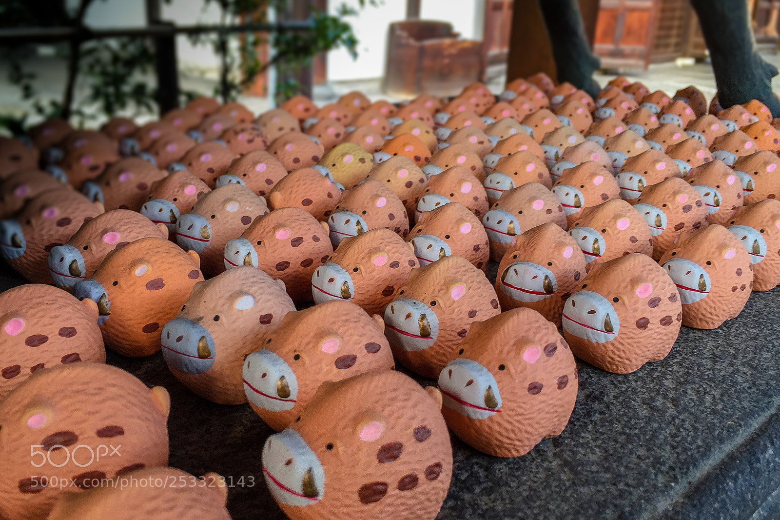 Apple iPhone 6 sample photo. Boar stampede photography