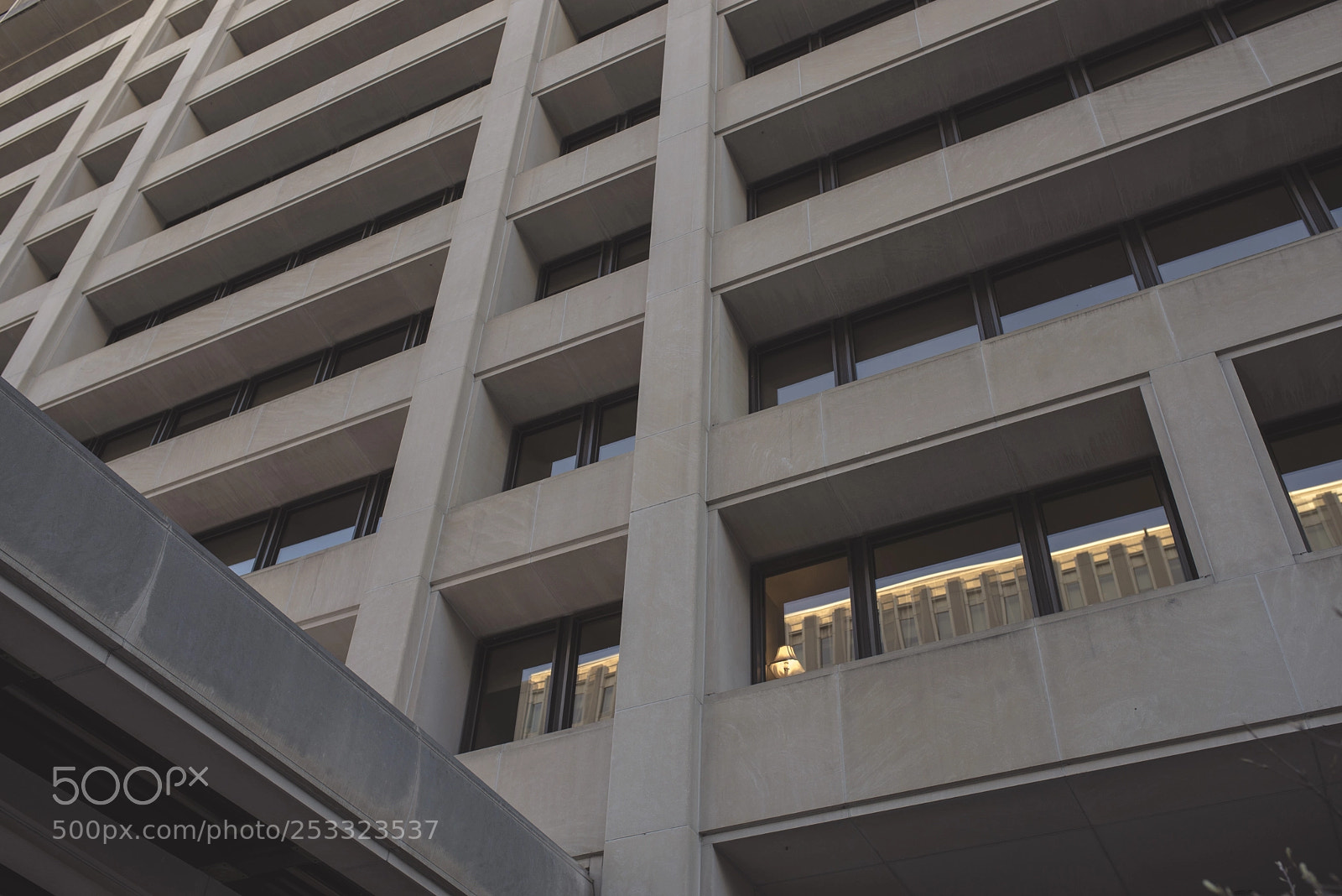 Nikon D600 sample photo. Untitled photography