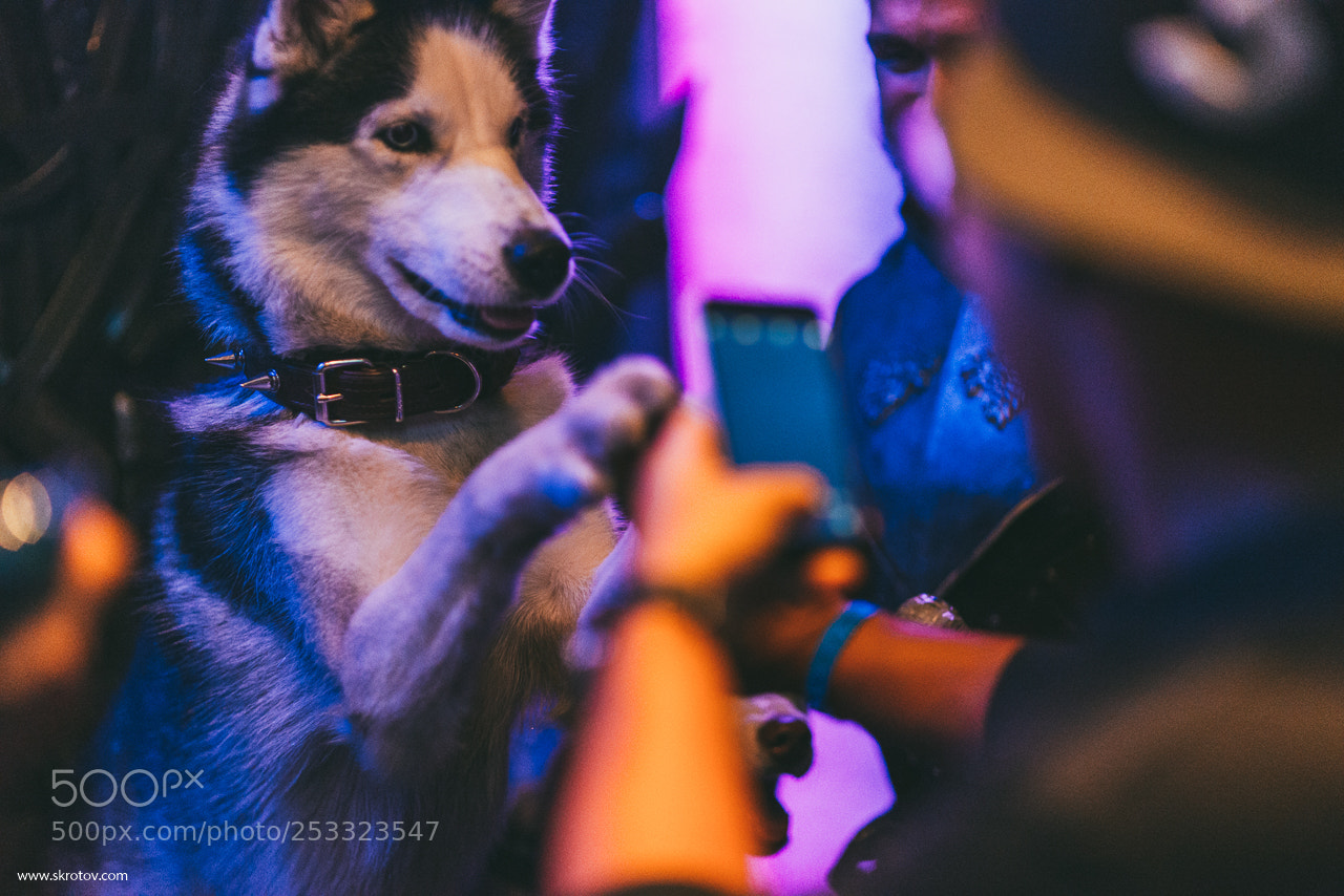 Nikon D800 sample photo. Party photography